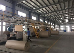 峰诚包装五层瓦楞纸板生产线投产